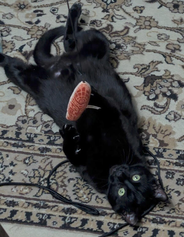 Onyx Onyx
